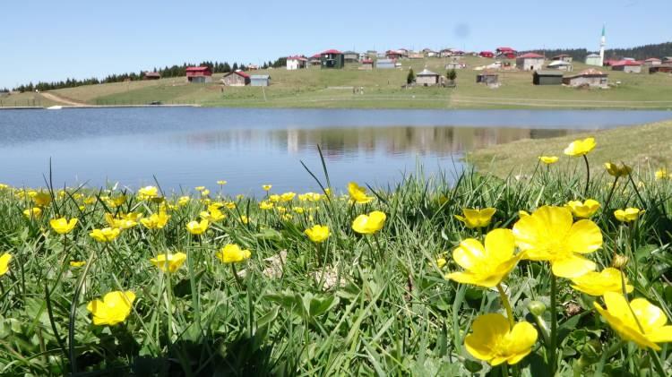 <p><strong>UZUNGÖL</strong></p>

<p>Çaykara ilçesine 20 kilometre mesafede, 1250 metre yükseklikte yer alan ve eşsiz doğal güzellikleri ile Doğu Karadeniz'in gözde turizm merkezi olan Uzungöl, yerli ve yabancı turistlerin akınına uğruyor. 500 bin metrekare alana sahip olan göl, alabalık ve sazan balığına ev sahipliği yapıyor. </p>
