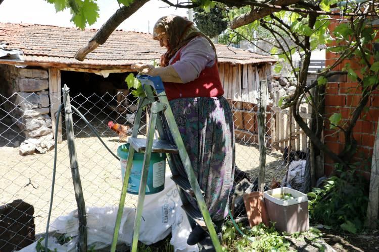 <p><strong>'DIŞARIYLA BAĞLANTI KURMUYORUZ'</strong></p>

<p>O köylerden biri olan kent merkezine 25 kilometre mesafedeki 40 haneli 80 nüfuslu Ortaca’da vatandaşlar maske, mesafe ve temizlik kurallarına uymanın yanı sıra yeşillikler içerisinde sürdükleri doğal yaşam ve beslenmenin bunda etkili olduğunu söyledi. </p>
