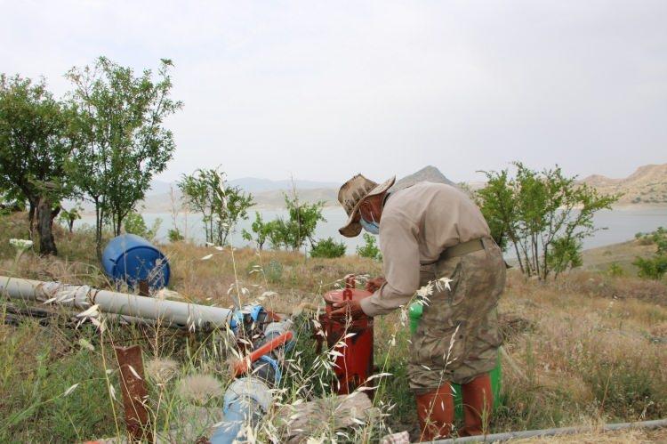 <p>Eskişehir’de eşini kaybettikten sonra memleketi Tunceli’nin Pertek ilçesine dönen 82 yaşındaki Ziya Abay, 2005 yılında Elazığ ile Tunceli arasında Pertek ilçesi sınırlarında Keban Baraj Gölü Havzası’nda kalan adayı keşfederek yerleşti. </p>
