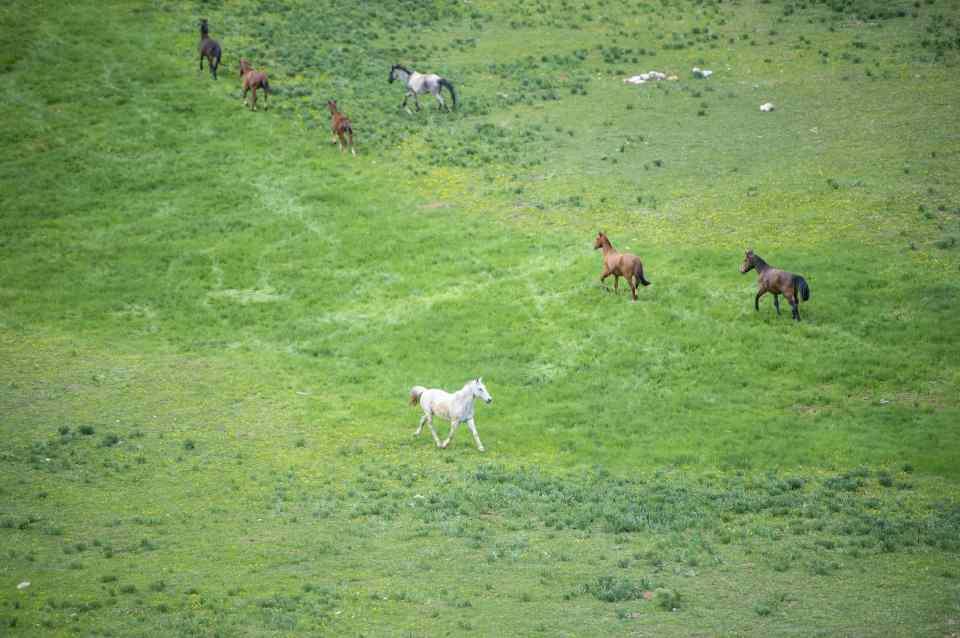 <p> İlçedeki Munzur ve Mercan dağları yaylaları, şelaleleri, çiçekleri, buzul gölleri ve yaban hayatıyla benim gibi çok sayıda doğaseverin uğrak yeri oluyor. Günübirlik gezilerle rotamızı bu dağlara çevirip doğanın keyfini çıkarıyoruz."</p>

<p> </p>
