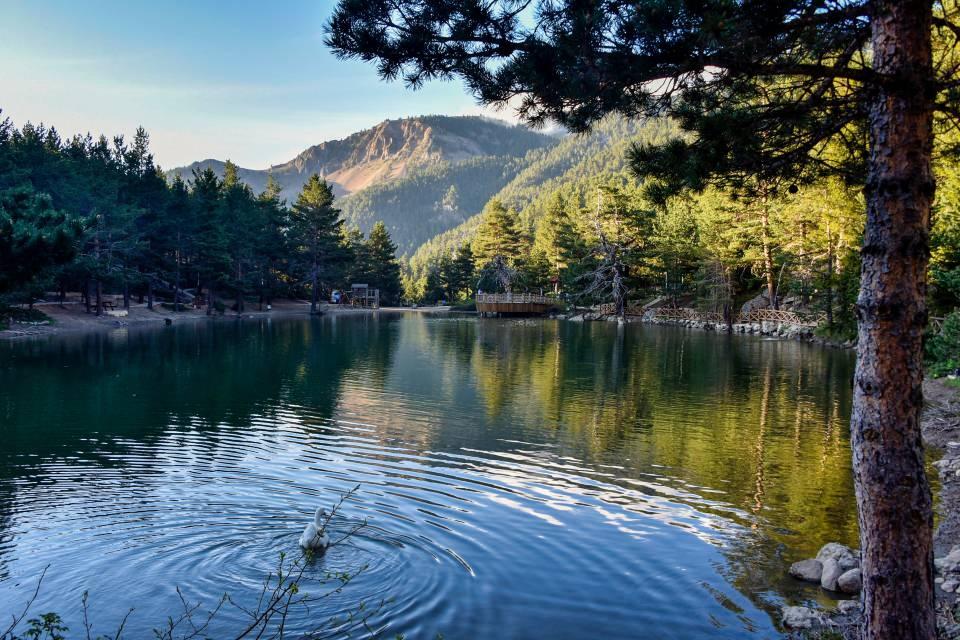 <p>İlçeye bağlı Zigana köyü sınırlarında yer alan ve son dönemde Doğu Karadeniz bölgesinin dikkat çeken turizm merkezlerinden birisi olan Limni Gölü Tabiat Parkı etrafını sarmalayan sarı çam ormanları arasında düşük nem oranı, temiz havası, eşsiz doğası ve manzarasıyla pandemi sürecinde nefes almak isteyenlerin mekanı oldu.</p>

<p> </p>

