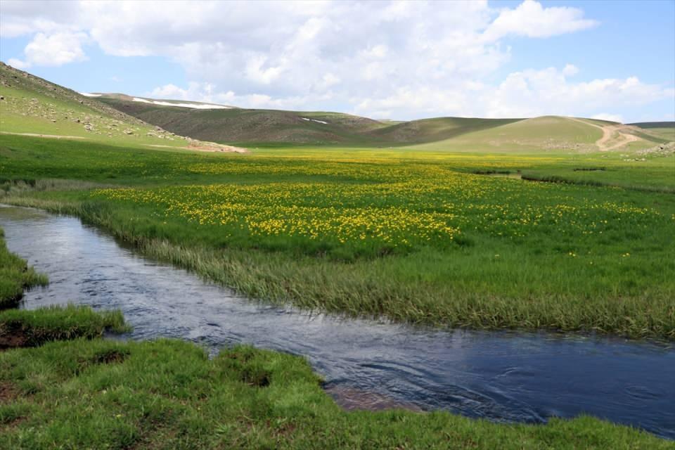 <p>Taşlıçay ilçesinde bulunan ve Iğdır başta olmak üzere çevre illerden her yıl çok sayıda göçer ailenin hayvanlarını yaz aylarında otlattığı Sinek Yaylası, el değmemiş doğasıyla her mevsim ayrı bir güzelliğe bürünüyor.</p>

<p> </p>
