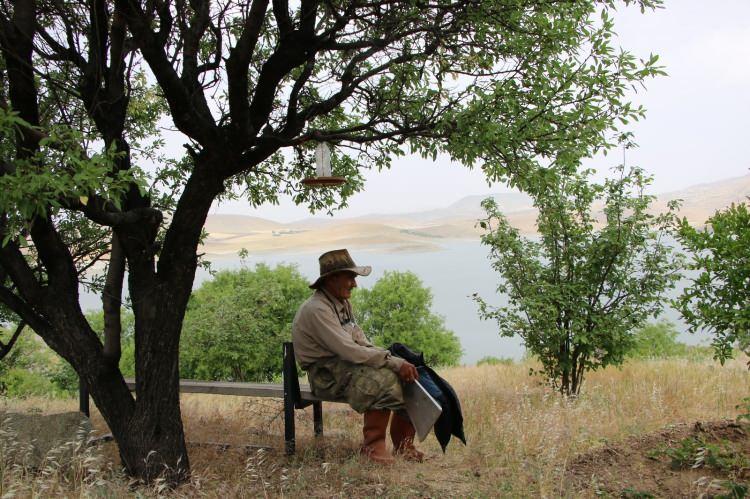 <p>Yerleştiği 80 dönümlük adaya bu güne kadar 4 binden fazla ağaç dikip yaşamını sürdüren Abay’ın adası 2,5 ay önce kuraklıkla birlikte baraj gölünde suların çekilmesiyle yarımadaya döndü. 16 yılda ilk defa yarımada olan Abay’ın adası, kar sularının erimesiyle tekrar ada halini aldı. Abay da geçmişte olduğu gibi yine adasına teknesi ile gitmeye başladı. Kuraklıktan adasının da büyük oranda etkilendiğini dile getiren Abay, geçen sene 4 ton kiraz hasadı yaparken bu yıl yemeye bile olmadığını ifade etti. Pandemide özel izinle adasına giden ve bozuk olan sulama motorunu tamir ettiren Abay, şimdi ağaçlarının kurumaması için mücadele veriyor.<br />
 </p>
