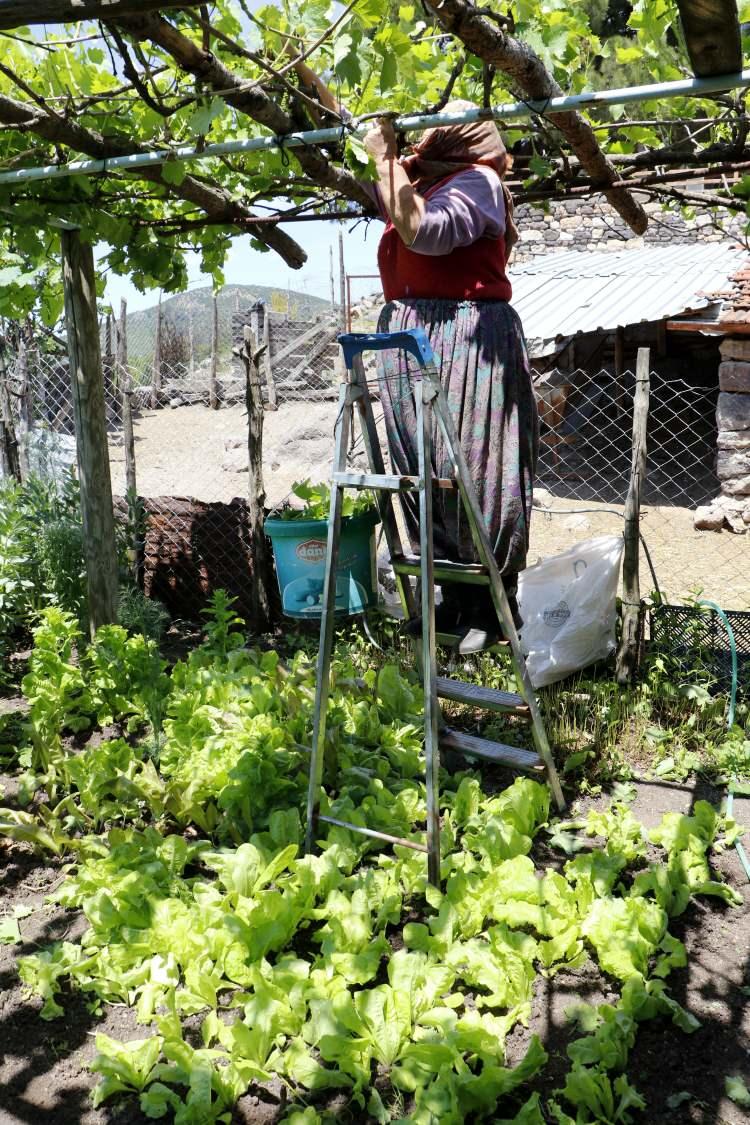 <p>Burada doğal besleniyoruz. Hayvanlarımızdan elde ettiğimiz sütü, yaptığımız peyniri, yoğurdu, köy ekmeğini, köy yumurtası tüketiyoruz. Beyaz ve kırmızı etimizi kendi yetiştirdiğimiz hayvanlarımızdan karşılıyoruz. </p>
