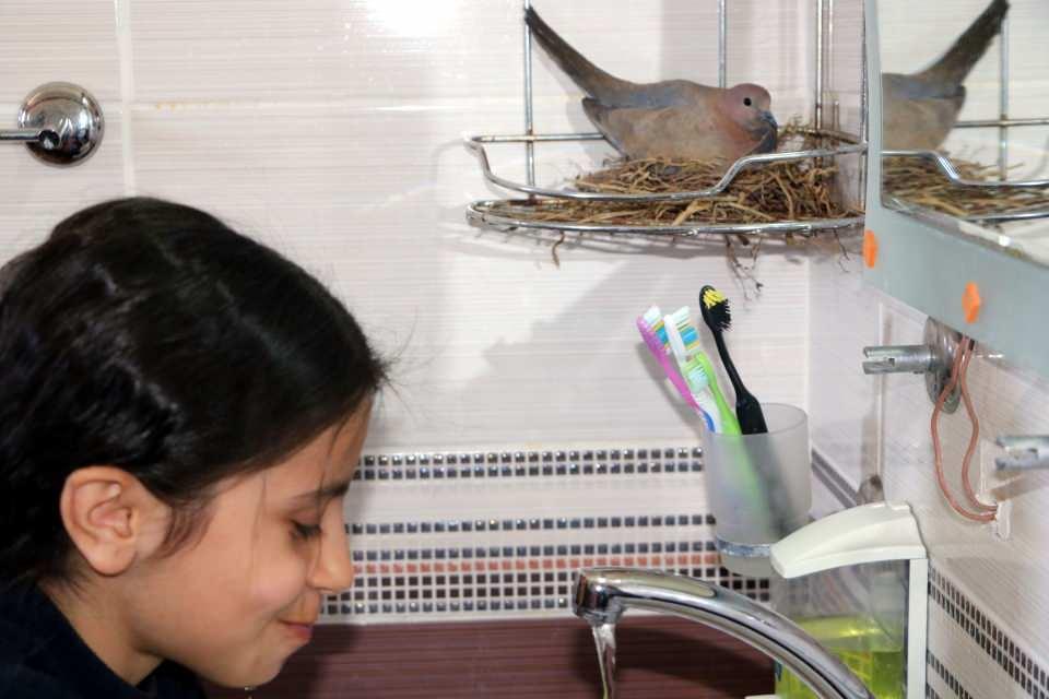 <p>Hem şaşkınlık hem de mutluluk yaşayan aile, bu süre içinde kumruları rahatsız etmemek için çaba gösterdi. Aile, bir süre banyolarına alt kattaki kardeşinin evinde yaptı.</p>

<p> </p>
