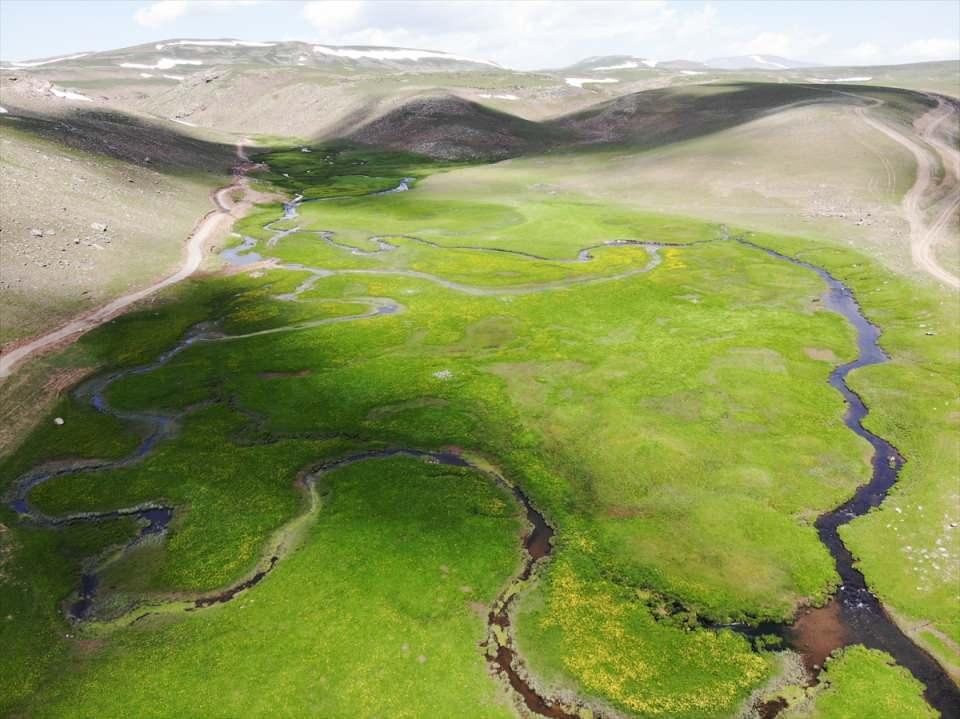 <p>Ülkemizde plato ve yayla birlikte kullanılmaktadır. Bu bölge, tabanlı vadi özelliği gösteriyor ve gerçekten oldukça güzel bir arazi yapısını gösteriyor."</p>

<p> </p>
