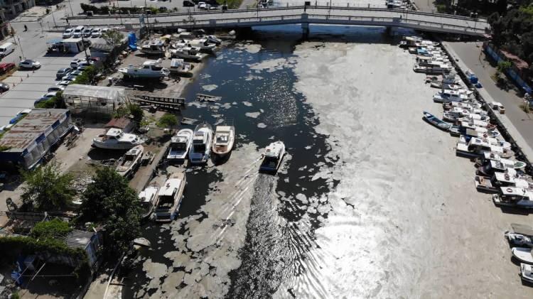 <p>Herkes bir yerlerden midye bulmaya uğraşıyor, o da yok” diye konuştu.</p>