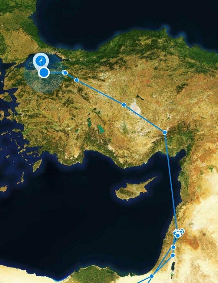 <p>2018 yılında verici ile takibe alınan Klippi, 3 yılda toplam 10 bin 895 kilometre yol katetti. 7 farklı ülkeden geçen Klippi cep telefonlarına ücretsiz indirilen 'Animal Trackar' uygulamasından izlenebiliyor.</p>
