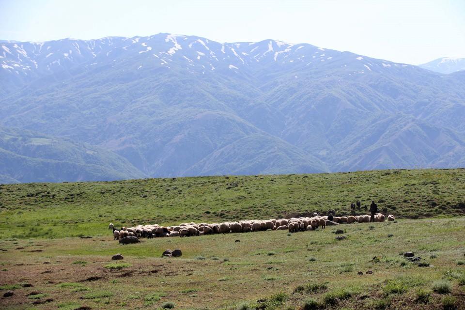 <p> Havalar soğuyunca Batman, Diyarbakır ve Şanlıurfa gibi sıcak bölgelere gidiyoruz. Yayla hala serin ve birçok yerde kar var.</p>
