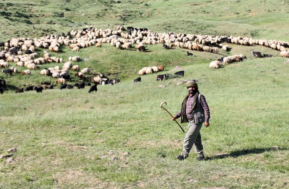 <p><em>Yaylaya çıkmaktan, doğayla iç içe yaşamaktan memnun olduklarını belirten Çelik, şöyle konuştu:</em></p>

<p>"Güvenlik güçlerinin başarılı operasyonları sonucu tüm yaylalarda huzur ve güven ortamı hakim oldu. Yaylalar, hayvan sürüleri ve göçerlerle renklendi. </p>
