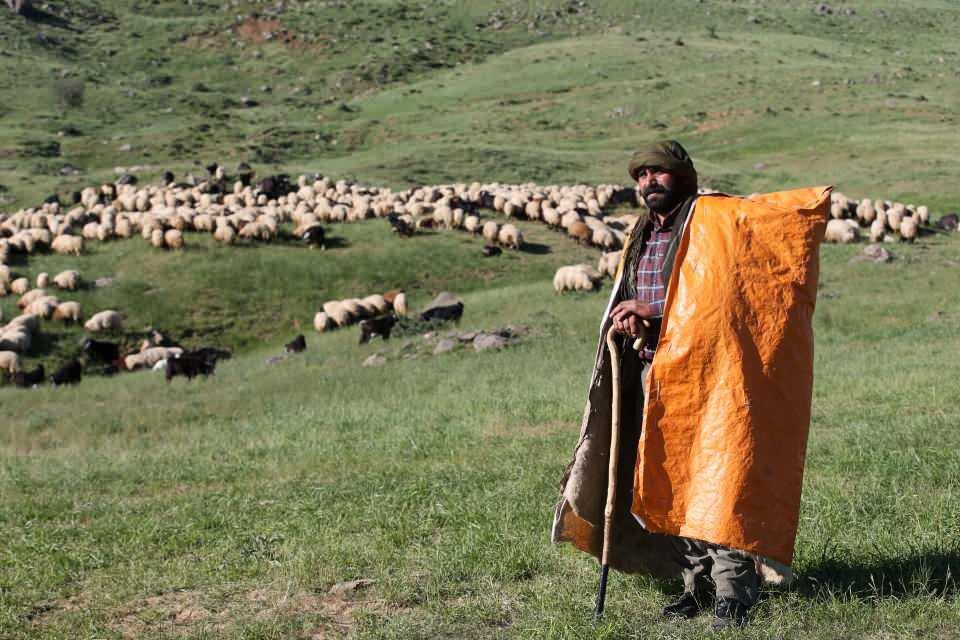 <p>Doğu ve Güneydoğu Anadolu bölgelerinde hayvancılıkla geçimlerini sağlayan göçerler, kavurucu sıcakların etkili olduğu yaz dönemini Hakkari ve Muş'un verimli ve serin yaylalarında geçirmeyi tercih ediyor.</p>

<p> </p>
