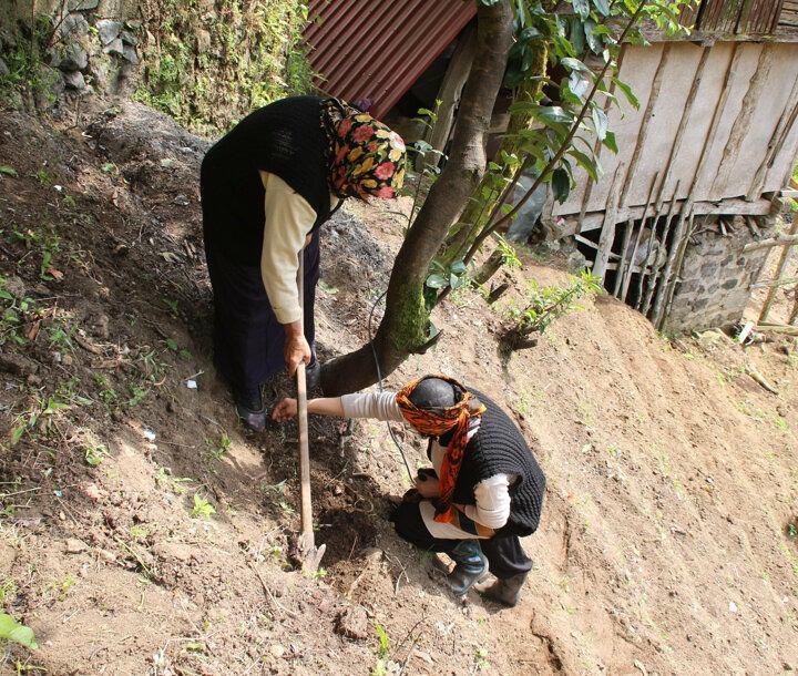 <p>Tarık Şuşoğlu da “Dedelerimizden kalan bir kültürü yeniden yaşatmaya çalışıyoruz, bizim için ayrı bir heyecan. Kenevir bu bölgede eskiden çok yaygın olarak kullanılır ve ağırlıklı olarak ip yapılırdı.</p>