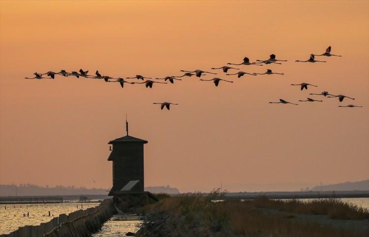 <p>Ramsar, Yaban Hayatı Koruma Sahası ve Doğal Sit Alanları Koruma statülerini taşıyan Gediz Deltası'nın UNESCO Dünya Mirası ilan edilmesi için süreç devam ediyor.</p>

<p> </p>

