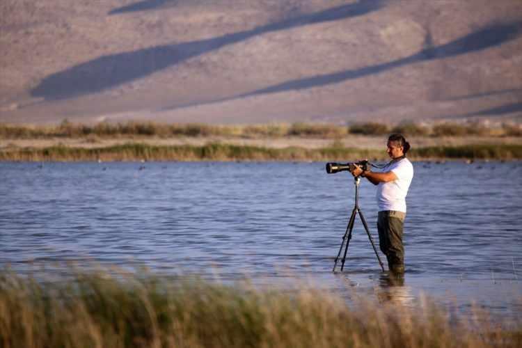 <p>Akgöl'e şubatın sonunda gelmeye başlayan flamingoların beslenme, dinlenme, kur dansı ve gün batımındaki toplu uçuşları muhteşem görüntüler oluşturuyor.</p>
<p> </p>