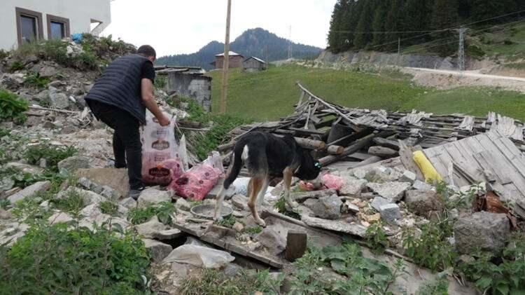 <p>Doğu Karadeniz'de yapılan envanter çalışmalarında önceki yıllara göre sayılarının arttığı belirlenen ayılar, indikleri yerleşim yerlerinde vatandaşlara korkulu anlar yaşatıyor.</p>

<p> </p>
