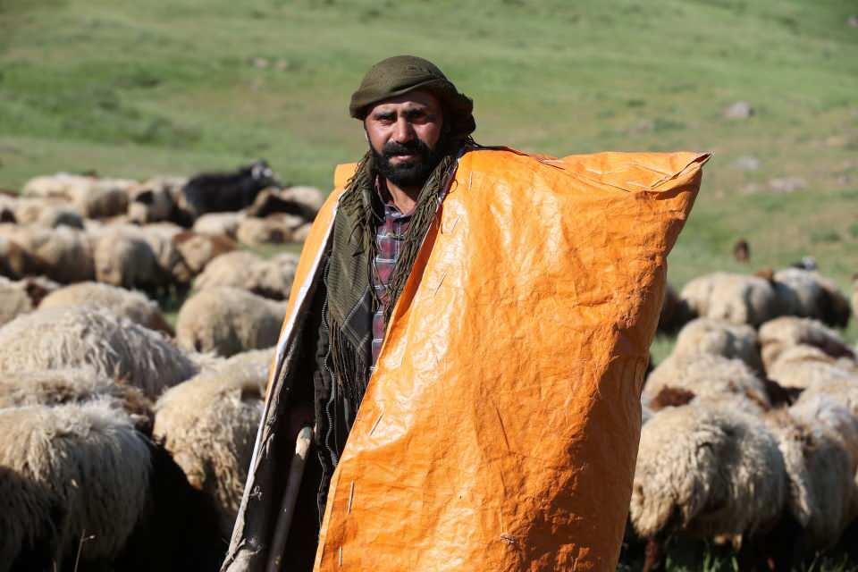 <p> Gece çok soğuk olduğu için çadırda soba yakıyoruz. Birkaç gün sonra hayvanlarımızı sağmaya başlayacağız. Elde edeceğimiz sütü, peyniri ve tereyağını satıyoruz. Geçimimizi bu şekilde sağlamaya çalışıyoruz."</p>

<p> </p>
