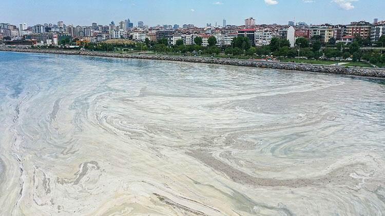 <p>3- MÜSİLAJI YİYECEK BAKTERİ TÜRLERİ KULLANILMALI </p>

<p>Bütün bunların yanında şu anda bazı üniversiteler çalışma yapıyor. Bu müsilajın genetik kodları belirlenmeye çalışılıyor. Hangi canlı türlerinden ortaya çıktığı tespit edilmeye çalışılıyor</p>
