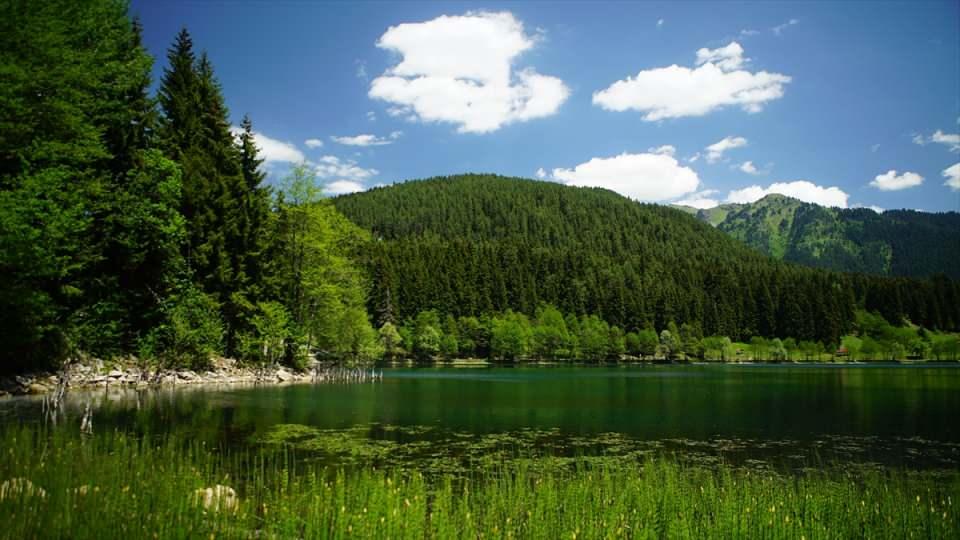 <p>Artvin'in "Sakin Şehir" ünvanlı Şavşat ilçesinde doğal güzellikleriyle ünlü Karagöl Tabiat Parkı, normalleşme sürecinde ziyaretçilerini bekliyor.</p>

<p> </p>
