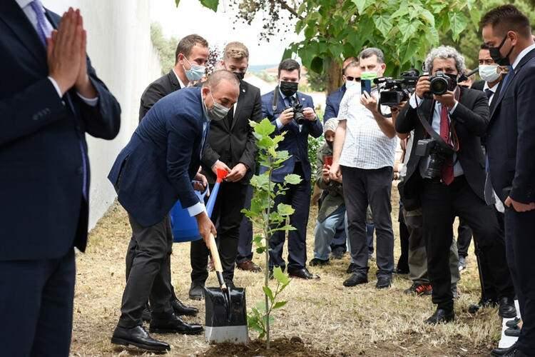 <p>ÇINAR AĞACINDAN GÖRDÜLER </p>
<p>Yerel medya 'Yunan Dışişleri Çavuşoğlu'nun 'Türk azınlık' sözlerine patladı' gibi başlıklar kullanırken, To Vima gazetesi ziyareti Dr. Sadık Ahmet'in mezarına Türk bakanın diktiği çınar ağacından gördü.</p>