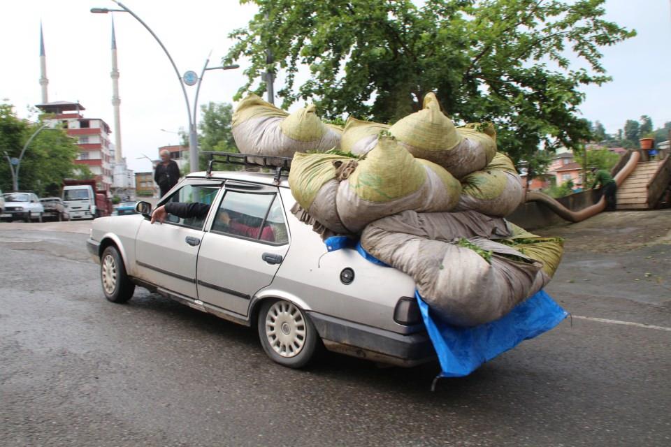 <p> Bu çayları bırakacağım, tekrar geriye döneceğim bir bu kadar daha yükleyip geri geleceğim, her defasında yaklaşık 300 kilo taşıyorum” dedi.</p>

<p> </p>
