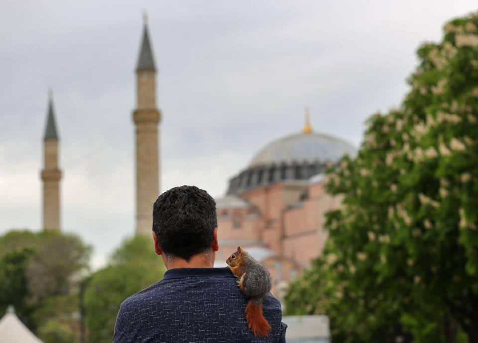 <p>Yüksel Şeker, "baba yadigarı" olarak gördüğü Karagöz'ü, İstanbul ziyaretlerinde bir an olsun yanından ayırmıyor. Şeker, Karagöz ile dolaştığı İstanbul sokaklarında görenlerin ilgisini çekiyor.</p>
<p> </p>