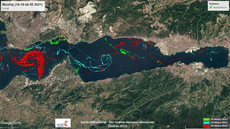 <p>Metrik olarak ölçümleri tamamlandı, haritalandı. Nerelerde ne kadar olduğunun bilgisi elimizde var. Biz sadece optik değil, termal görüntülerle de çalıştık. Termal görüntü bize neyi veriyor? Müsilajın kalın bir tabaka oluşturduğu yerlerde ısınma nedeniyle daha çok çoğaldığını gördük."</p>
<p>- "Marmara Denizi'nde su ısınıyor"</p>
<p>Prof. Dr. Kavzoğlu, yaptıkları çalışmalarla Marmara Denizi'nin ısı haritasını da çıkardıklarına dikkati çekerek, şu bilgileri paylaştı:</p>
<p>"Marmara Denizi'nde su ısınıyor. 1970'lerde ortalama 2,5 derece bir artışın olduğunu biliyorduk. Marmara Denizi'nin orta kısımlarında 14 dereceler, 13,5 dereceleri ölçerken, müsilajın olduğu alanlarda 17,5 dereceleri gördük. Bugün daha da artmış olabilir çünkü haziran görüntülerinin işlenmesi halen devam ediyor. Yaklaşık 18 derecelik bir ısıya yaklaşmış durumda. Isındıkça oksijeni tüketiyor, çoğalıyor ve aşağıya doğru kendini yayıyor. Bu da canlılar için çok büyük bir tehdit oluşturacak."</p>
<p> </p>