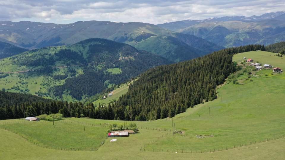 <p>Giresun'da geniş ladin, çam ormanları ve çayırlarla kaplı Kümbet Yaylası, yeni tip koronavirüs (Kovid-19) ile mücadelede kontrollü normalleşme döneminde doğal ortamıyla ziyaretçilerine adeta nefes oluyor.</p>

<p> </p>
