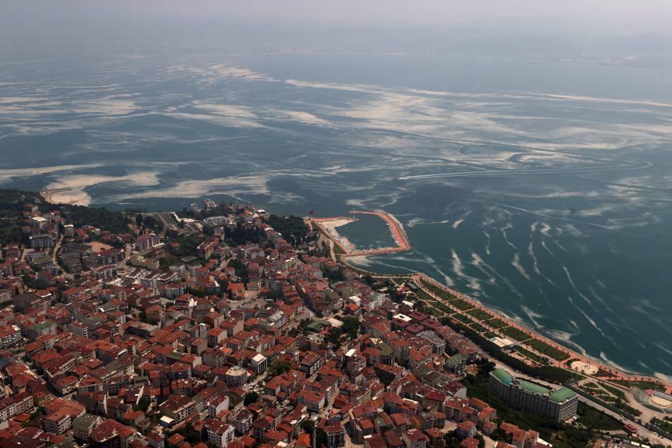 <p>Müsilajın en çok Mudanya, Gemlik Körfezi, Gebze ve çevresi, İstanbul'da Anadolu Yakası'nın kıyı alanları ve Adalar civarında biriktiği, kısmen Marmara'nın açıklarını da kapladığı görüldü.</p>

<p> </p>
