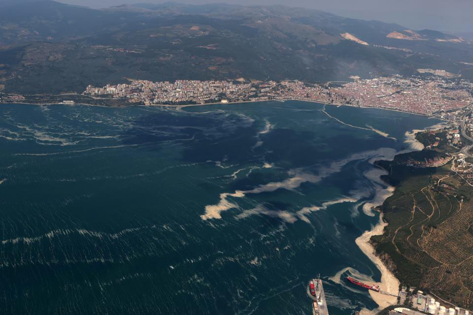 <p>İzmit Körfezi'nde de yer yer etkili olan müsilajın, Balıkesir Bandırma açıklarında ve Marmara Denizi'nin geneline de parça parça dağıldığı gözlemlendi.</p>

<p>- "Darıca, Hereke, Eskihisar, Topçular ve Körfez hattında daha çok yoğunlaşmalar mevcut"</p>

<p> </p>
