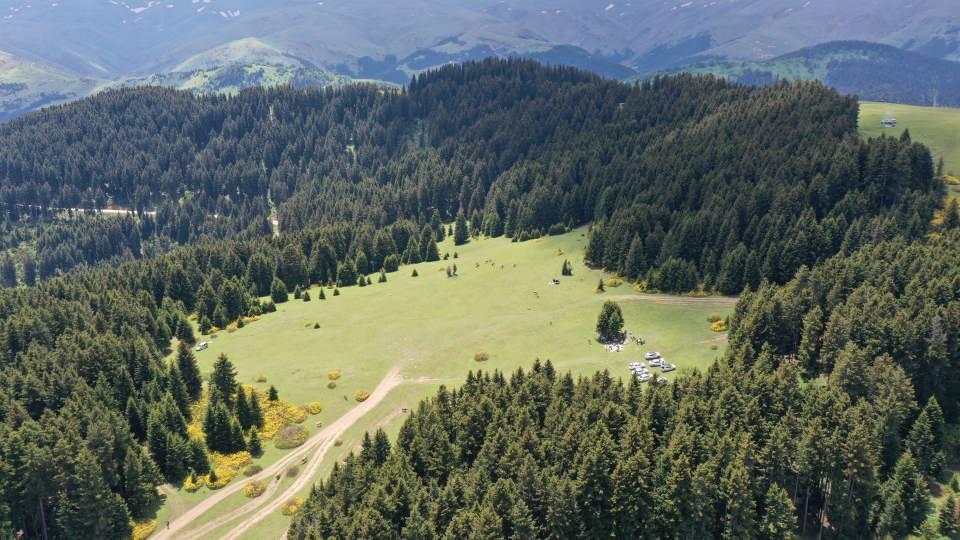 <p>Dereli ilçesi sınırlarında 1650 ve 1800 rakım arasındaki Kümbet Yaylası, Giresun'un önemli turizm destinasyonlarının başında geliyor. Ormanların verdiği huzuru yaşamak isteyen doğaseverler yaz ve kış aylarında yaylayı ziyaret ediyor.</p>

<p> </p>
