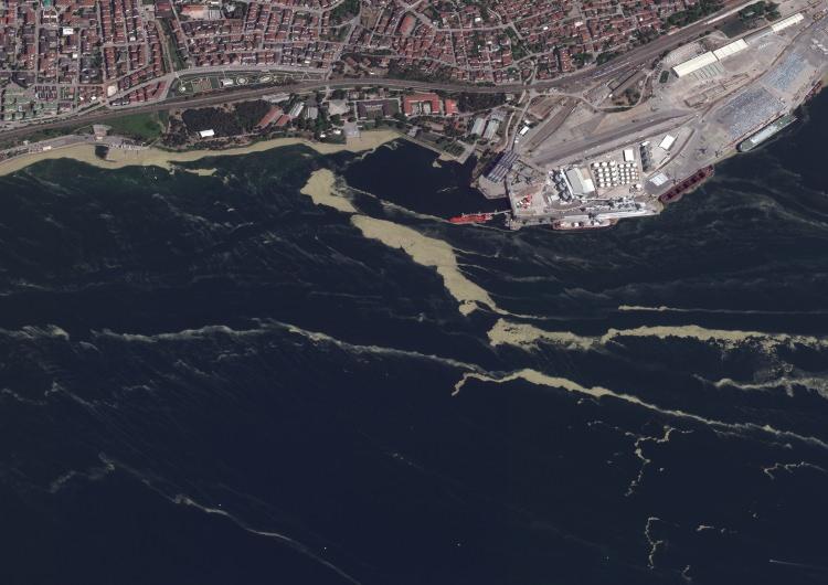 <p>Uydu görüntülerinde, müsilajın en çok İzmit Körfezi ile çevresi, İstanbul'da Anadolu Yakası'nın kıyı alanları ve Adalar civarında olduğu belirlendi.</p>
<p>Yüksek çözünürlüklü uydu görüntülerinde, müsilajın zaman zaman Marmara Denizi'nin tamamına parça parça dağıldığı görüldü.</p>