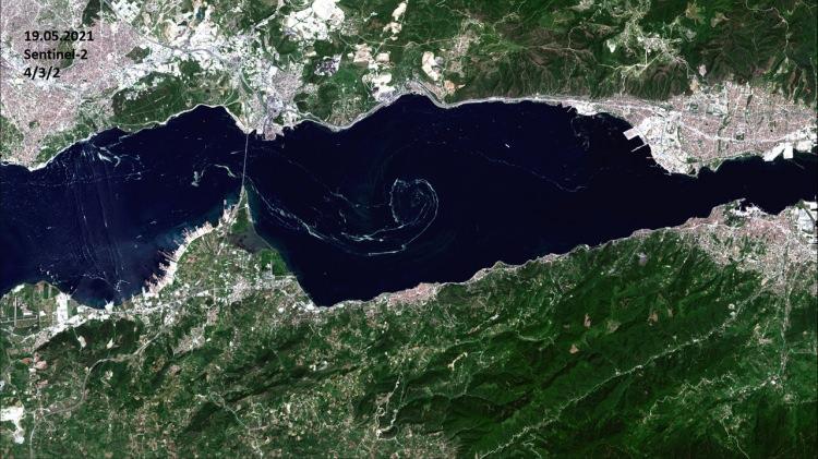 <p>Marttan itibaren farklı çözünürlükteki uydu görüntüleriyle Marmara Denizi'ni incelemeye başladıkları bilgisini veren Musaoğlu, şöyle devam etti:</p>
<p>"Marmara Bölgesi'nde optik uydu görüntülerini kullanarak zamansal olarak bulutsuz günlerde görüntüler aldık. Marmara Bölgesi'nde uydu görüntülerinde müsilaj çok rahat bir şekilde görülüyor. Çalışmalarda İzmit Körfezi girişi ve çevresi, İstanbul'da Anadolu Yakası ve Adalar'da müsilaj birikimlerinin olduğunu gördük. </p>
