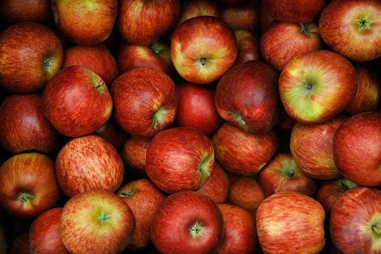 <p><span style="color:#0000CD"><strong>Elma içinde bol miktarda fruktoz yani meyve şekeri olduğu için uyandırıcı ve enerji verici bir güce sahiptir. Eğer sabahları uyanmak için bardak bardak kahve içmek zorunda hissediyorsanız bir de bir adet elma yemeyi deneyin.</strong></span></p>
<p> </p>