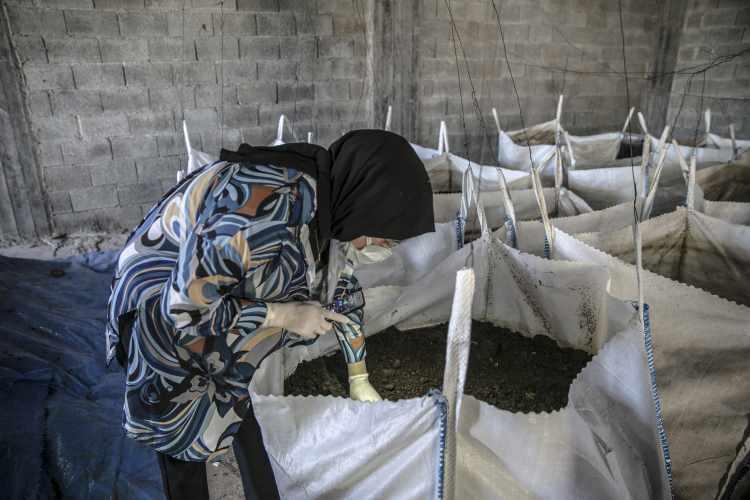 <p>Gürler, ilk etapta 300 bin solucanla başladığı gübre üretiminde şu an yaklaşık 1 milyon solucana kadar ulaştığını belirtti.</p>

<p> </p>

