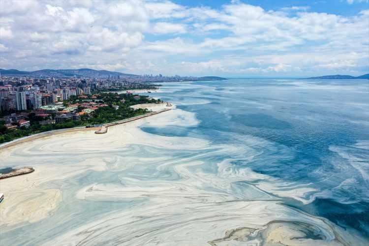 <p>İstanbul Büyükşehir Belediyesi'ne ait teknelerin de dip temizleme çalışmaları sürüyor.</p>