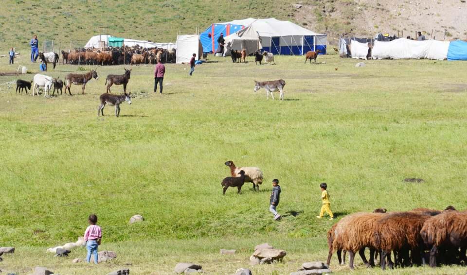 <p><strong>İNGİLTERE'DEN HEDİYE KAMERA</strong></p>
<p>İzleyicilerinin ihtiyaca göre hediyeler gönderdiğini anlatan Karadağ, "Neredeyse 5-6 bin liralık kamera geldi. Takipçimiz bunu İngiltere'den gönderdi. Ben ismini söylemek istedim ama kendisi kabul etmedi. Uzun zamandır benim için kamera aldığını ama pandemi yüzünden gönderemediğini söyledi. Kimisi telsiz gönderdi. İsveç'ten bir takipçim elektrik işini nasıl hallediyorlar, diye düşünüp, güneş paneli göndermiş. O da bayağı işimize yaradı. Fındık, bıçak gönderen oluyor. Köpek tasması gönderen var. Çocuklarımıza oyuncak, elbise gönderen oluyor. Böyle hediyeler gönderilince kendimi çok mahcup hissediyorum. Onlar da 'Sen bizim için çekiyorsun bizim de katkımız olsun' diyorlar" dedi. </p>
<p> </p>