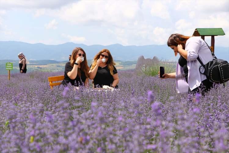 <p> Burada doğayla iç içe zaman geçirip istediğiniz kadar fotoğraf çekebiliyorsunuz. Herkesi bu güzel mor bahçelere bekliyoruz." ifadelerini kullandı.</p>
