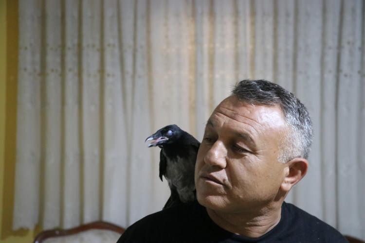 <p>Denizli'nin Pamukkale ilçesinde 52 yaşındaki sağlık memuru Mehmet Çolak, yolda yaralı bulduğu kargayı evinde sağlığına kavuşturdu.</p>

<p> </p>
