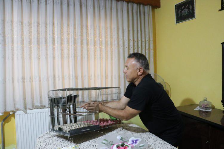 <p> Biz köylü çocuğu olduğumuz için hayvanların bizde hep yeri olmuştur. Arap benim için bir numara. Çocuklarım kıskanıyorlar Arap'ı. İşe gittiğimde acaba ne yaptı diye düşünüyorum.</p>
