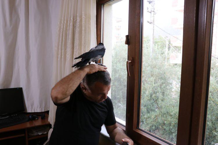 <p>Tedbir amacıyla veterinere de götürdüğü kuşu sokakta bıraksa kedilere yem olacağını anlatan Çolak, "Ona kartondan ev yaptık. Güçsüz kalmıştı, onu besledik ve iyileşti." dedi.</p>

<p> </p>
