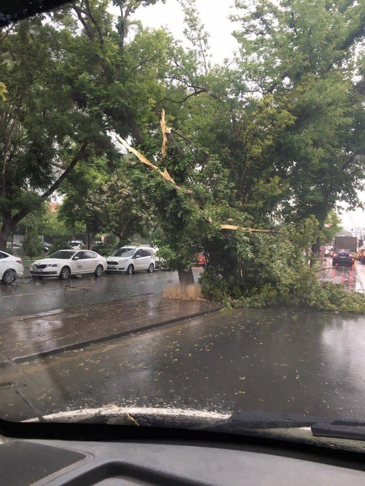 <p>Ankara'da dolu ve rüzgar ile birlikte etkili olan sağanak taşkınlara yol açtı, ağaçlar ve tabelalar devrildi, araçlar yolda mahsur kaldı.</p>
