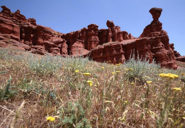 <p>Proje kapsamındaki yatırımlarla yöreye gelecek yerli ve yabancı turistlerin hem bölgede ihtiyaçlarını gidererek rahat gezinti yapması hem de bölgede daha uzun süre kalarak ekonomiye katkı sağlaması amaçlanıyor.Erzurum Valisi Okay Memiş, AA muhabirine, Narman Peribacaları'nın eşsiz jeolojik parklardan olduğunu söyledi.</p>
