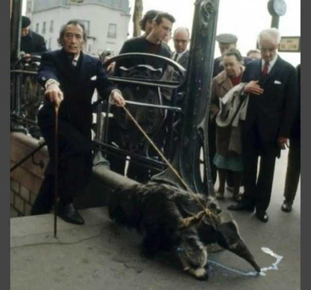<p><strong>SALVADOR DALİ'NİN EVCİL HAYVANI</strong></p>

<p>Salvador Dali, evcil hayvanını gezdiriyor, o da bir karıncayiyen. Dali, bir elinde baston, diğerinde bir karıncayiyenle süslenmiş, her zaman zarif olan Dali, 1969'da Paris'te görülmesi gereken bir manzaraydı.</p>

<p> </p>
