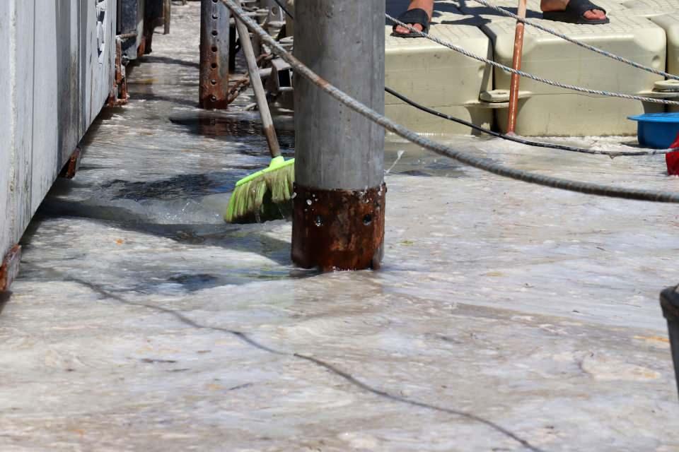 <p>Çevre ve Şehircilik Bakanlığı tarafından, 'Marmara hepimizin' sloganıyla başlatılan müsilaj temizleme çalışmaları, Çanakkale Yat Limanı'nda devam ediyor. Deniz yüzeyinde biriken müsilaj, Konya Büyükşehir Belediyesi'ne ait 'Vaktör' aracının da desteğiyle çekilip bertarafı için götürülüyor. </p>
