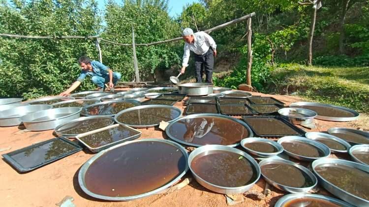 <p>2021 yılının Ocak ayında ürünümüz coğrafi işaret tescil belgesi almaya hak kazandı. Bölgede üretimi yapılan dut pekmezinin toplam miktarı şu anda 250-300 ton civarında olup daha sonra çiftçilerimizin kırsal alanlara gelmesiyle birlikte bu üretimin 600 ton civarına çıkmasını bekliyoruz. </p>
