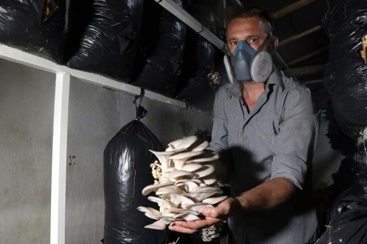 <p>Mantar yetiştiriciliğinde mutlaka maske takılması gerektiğini de vurgulayan Çetin, "Kronik astıma doğru götürebiliyor, o nedenle dikkatli olmak gerekiyor. Bir astım başlangıcı bende de oldu, tedavisini gördüm. Şu anda çok şükür fazla sorumuz yok" ifadesini kullandı.</p>
<p> </p>