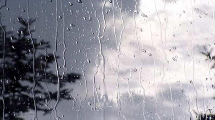<p>DÜZCE 16°C, 29°C<br />
Parçalı bulutlu</p>