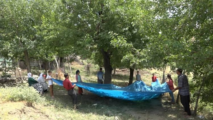 <p>Bölge, dut pekmezinin üretim merkezi olarak bilinmektedir. Bizler de ürünümüzün ulusal pazarlarda tanınırlığının artması için ve çiftçimizin daha fazla gelir elde etmesi için 2018 yılında Tarım ve Orman İl Müdürlüğü olarak coğrafi işaret tescil çalışmalarını başlatmıştık. </p>