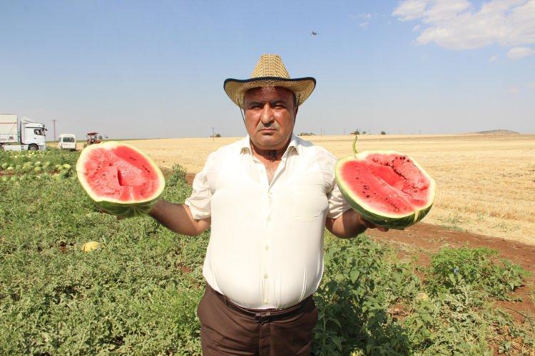 <p>Bu değere sahip çıkıyorlar. O sayede Diyarbakır'ın karpuz çeşitleri de varlığını devam ettiriyor. Bu yıl Diyarbakır Büyükşehir Belediyesi karpuz üreticilerine yönelik olarak geleneksel yapılan karpuz üreticilerine fide, gübre ve ilaç desteği sağladı. </p>
