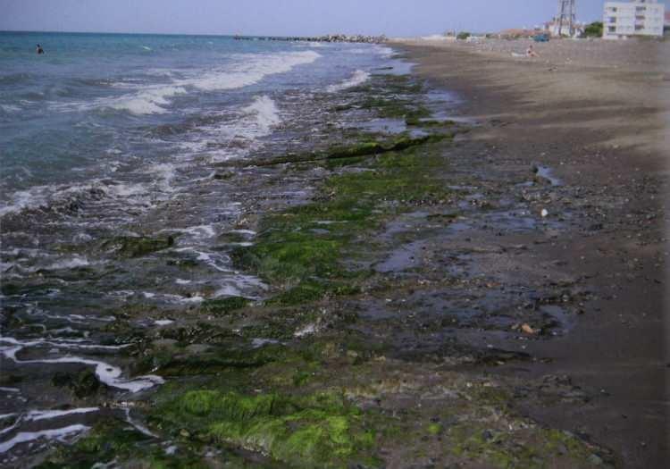 <p>“Deniz seviyesi son 6 bin yılda 40 santimetre yükselmiş” </p>
<p> </p>
<p>Çalışmaların bir kısmının yayınlandığını, halen yayınlanmaya devam eden bölümlerinin olduğuna değinen Koşun, “Biz bu çalışmayı yaparken beach rock (yalıtaşı) üzerinde çalışma yaptık. Bu kayaçlar, oluştuğu dönemdeki deniz seviyesinin kara ile denizin birleştiği yerde oluşması açısından önemli bir jeolojik materyaldir. Önemli bir bilimsel veridir. 20 bin yıl içinde bu kayaçlar oluşuyor.</p>